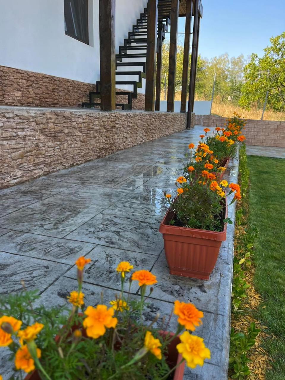 Villa Medi Boutique Sapareva Bania Exterior foto